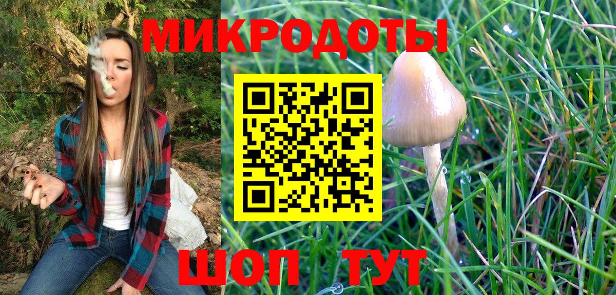 Краснодар  Псилоцибиновые грибы мицелий  Вход с VPN 