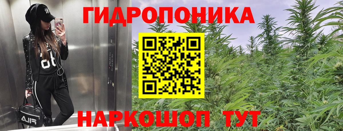 Краснодар  Канабис семена  Конопля AK-47  Вход с VPN 